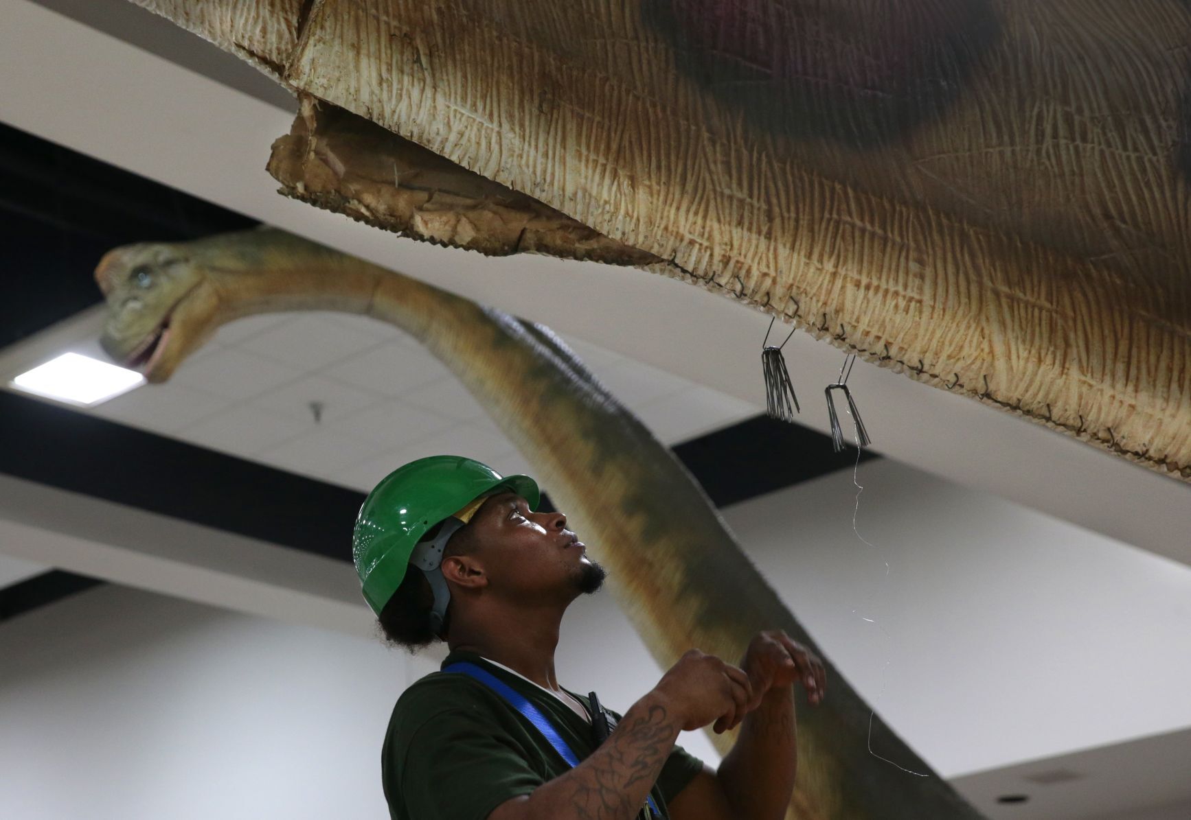 Dinosaurs invade Collinsville this weekend